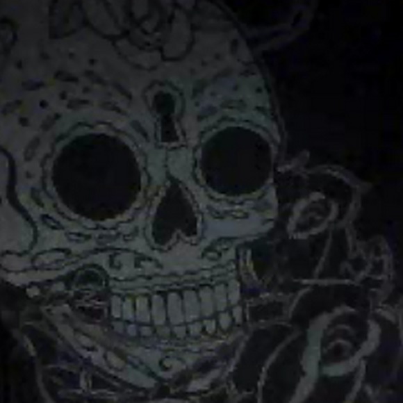 Meet your Posher, Severeparrot - Picture 1 of 1